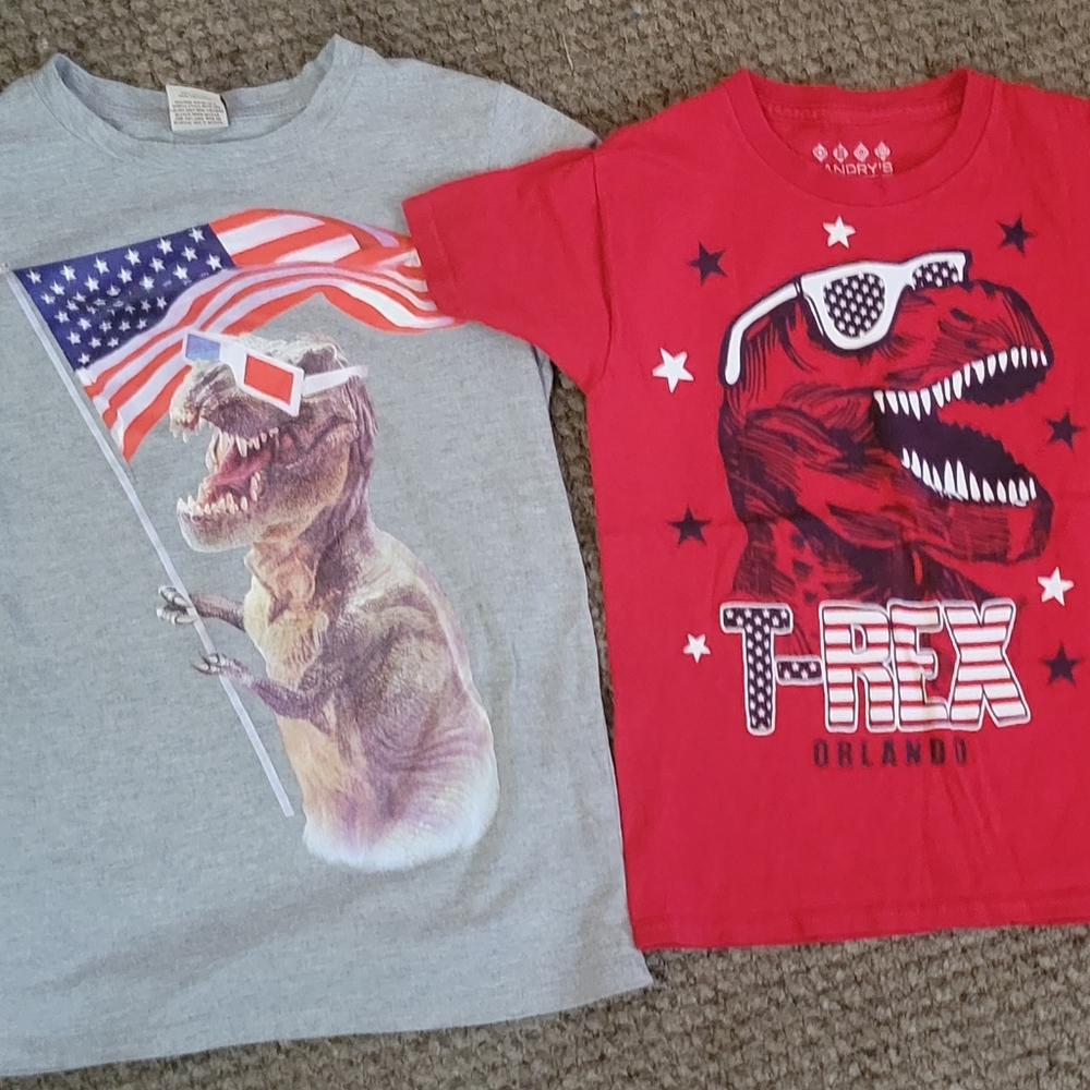 ☆•2 Youth Boy's Patroitic T Shirts•Size:Small 6/7•☆